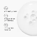 4.webp